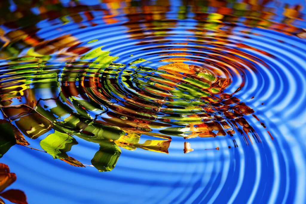 Wasserringe mit gespiegeltem Herbstlaub